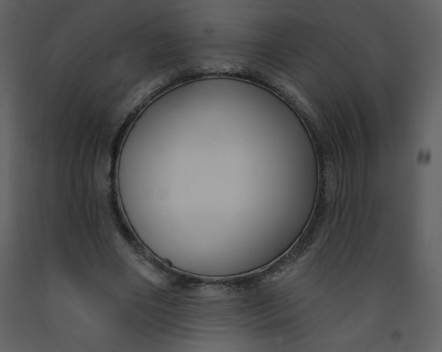 X0000093250490200710171429