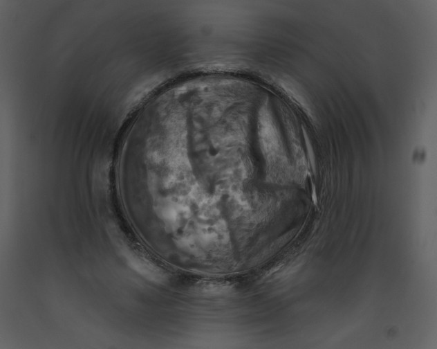 X0000093250491200710171429