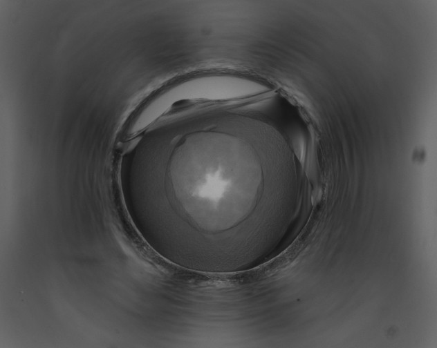 X0000093250492200710171429