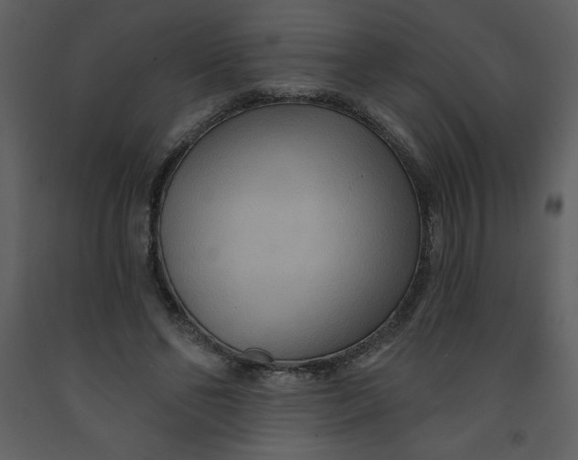 X0000093250494200710171429