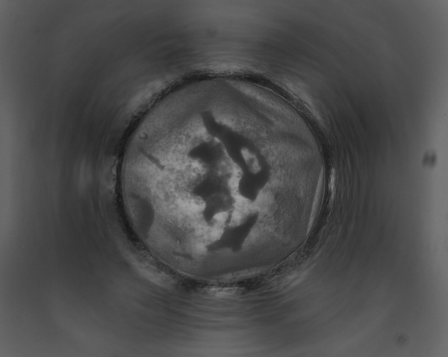 X0000093250495200710171429