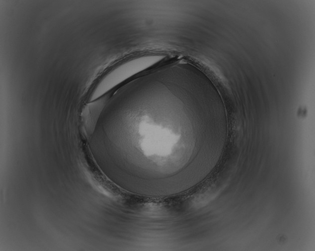 X0000093250496200710171429