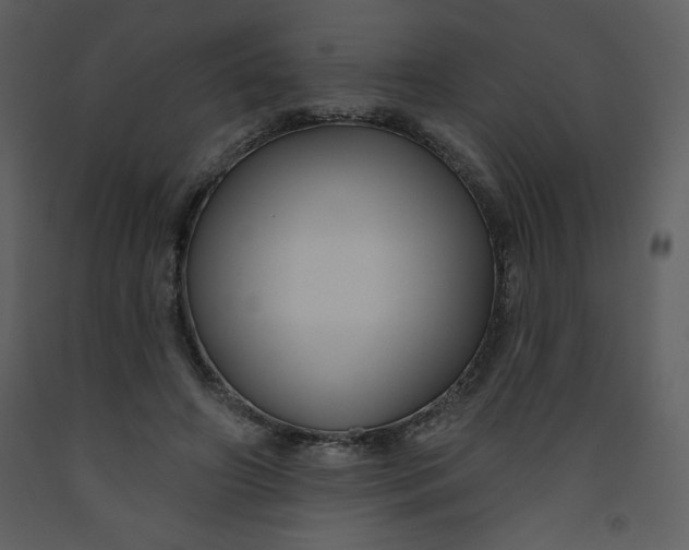 X0000093250498200710171429