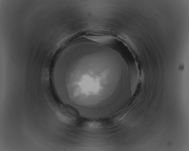 X0000093250500200710171429