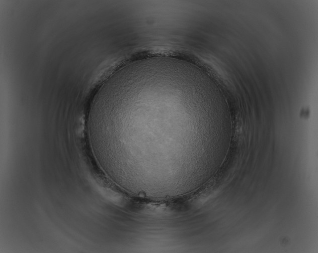 X0000093250502200710171429