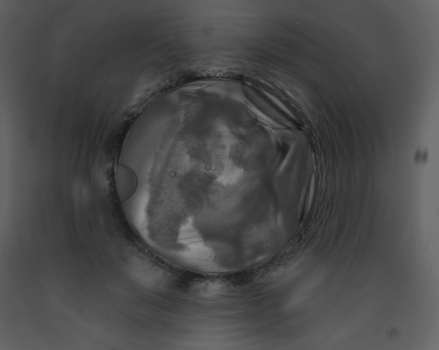 X0000093250503200710171429