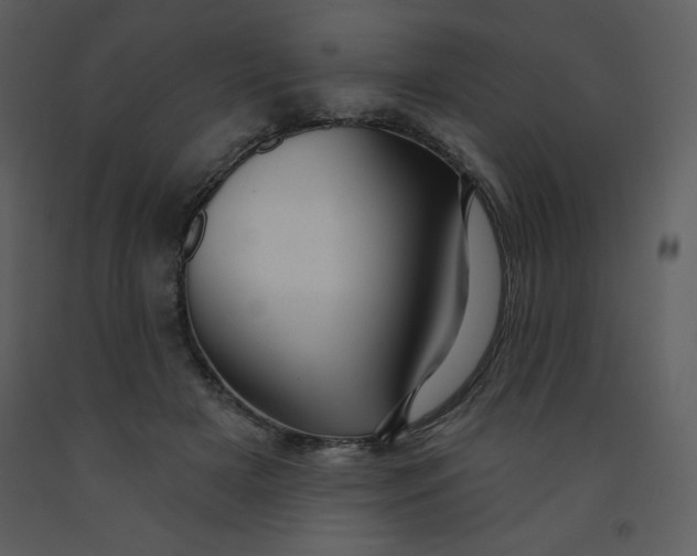 X0000093250505200710171429