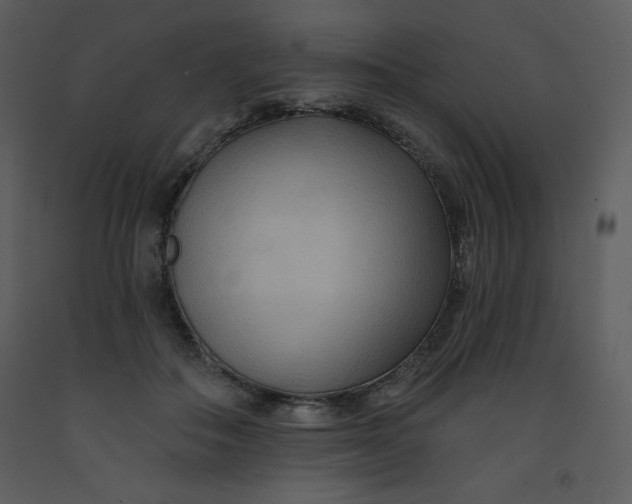 X0000093250506200710171429