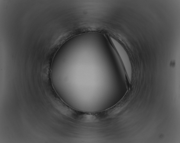 X0000093250509200710171429