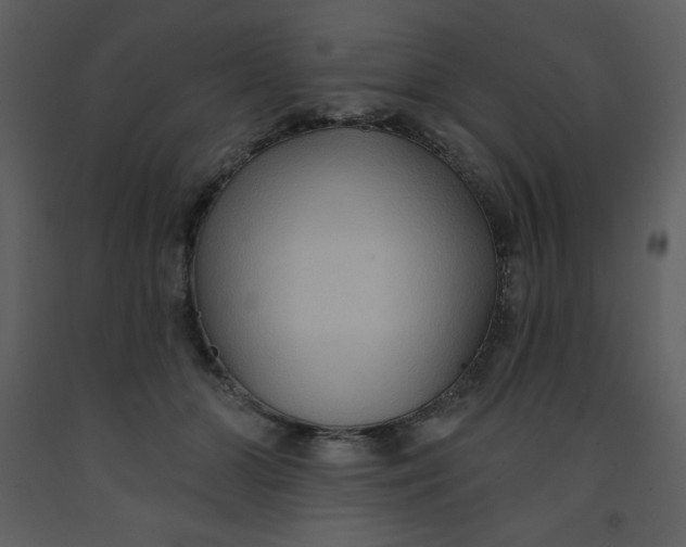 X0000093250510200710171429