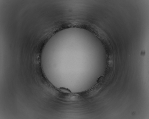 X0000093250514200710171428