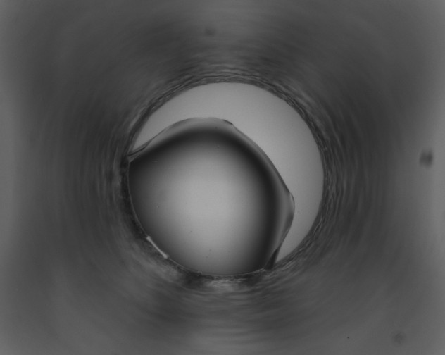 X0000093250516200710171428