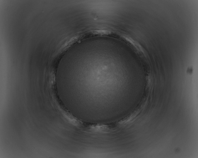 X0000093250517200710171428