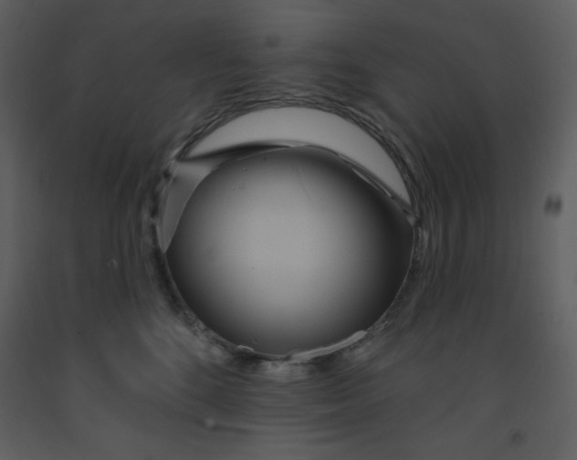 X0000093250520200710171428