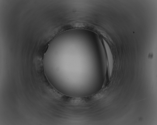 X0000093250521200710171428