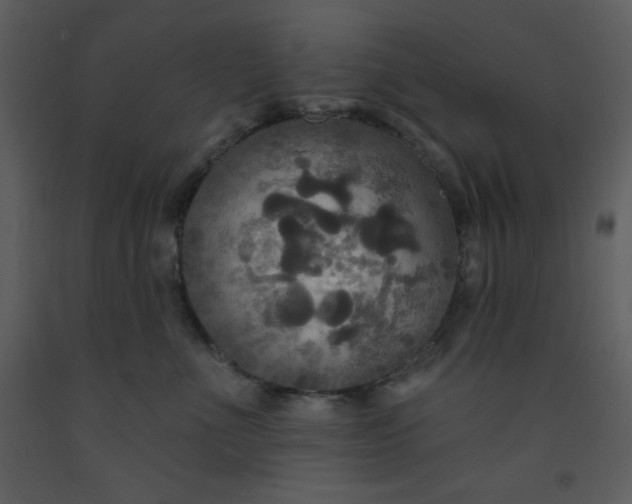 X0000093250523200710171428