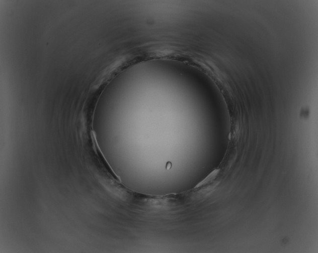 X0000093250524200710171428