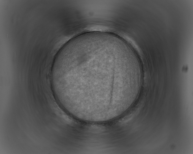 X0000093250529200710171428