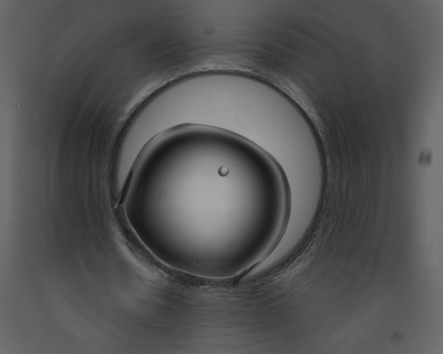 X0000093250530200710171428