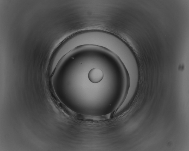 X0000093250532200710171428