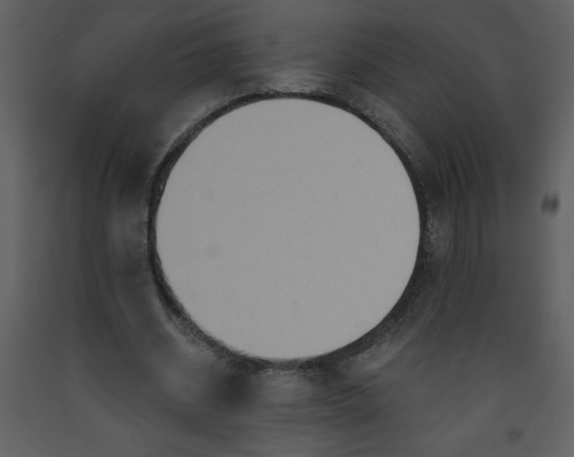 X0000093250534200710171428