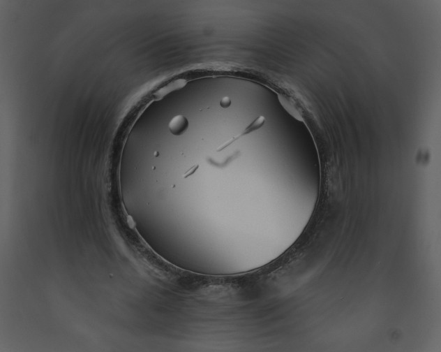 X0000093250536200710171428