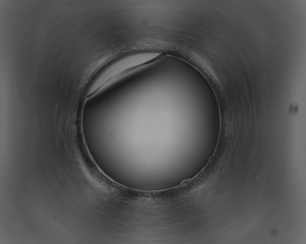 X0000093250538200710171428