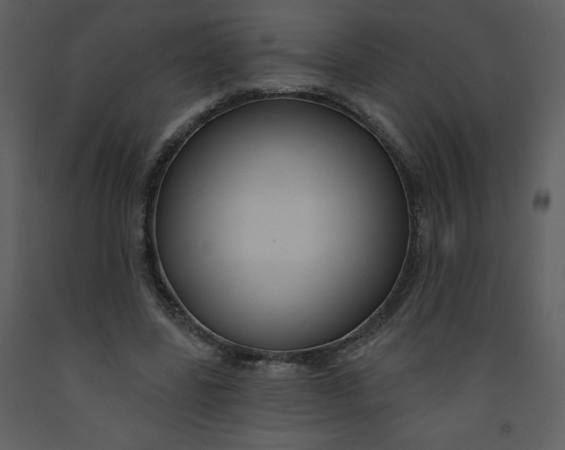 X0000093250539200710171428