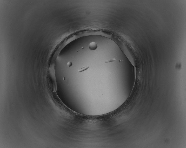 X0000093250540200710171428