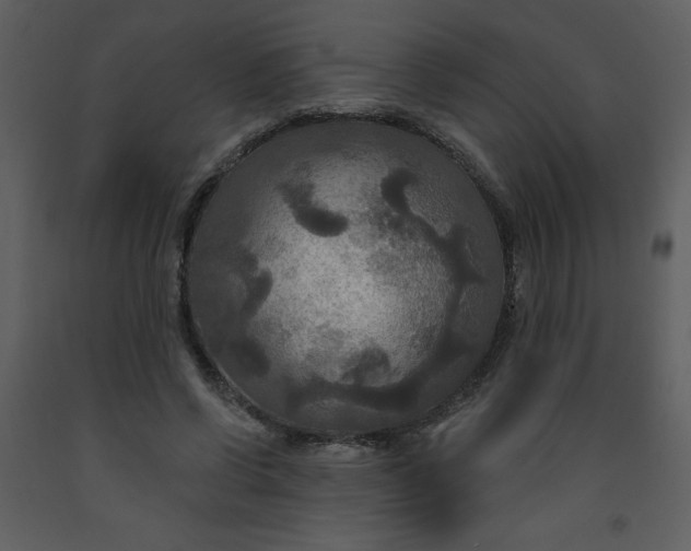 X0000093250542200710171428