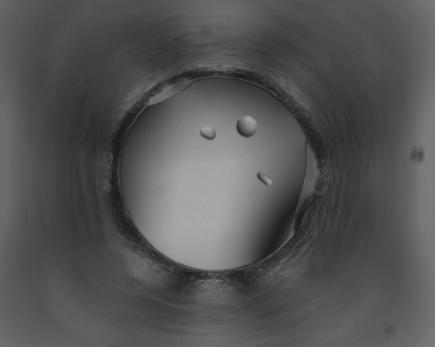 X0000093250544200710171428