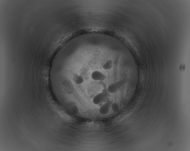 X0000093250545200710171428