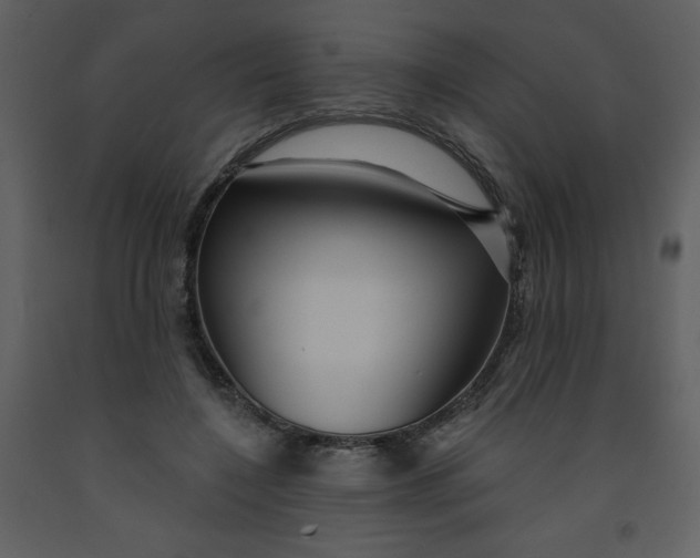 X0000093250548200710171428