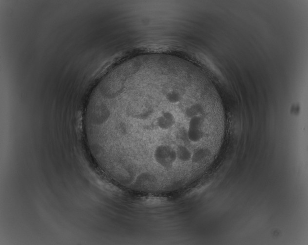 X0000093250549200710171428