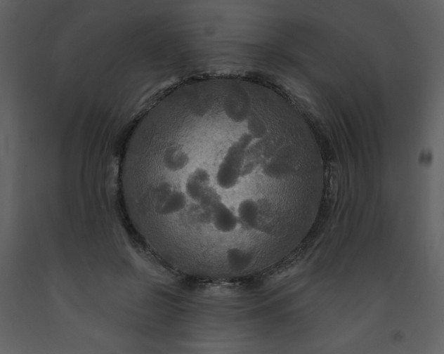 X0000093250550200710171428