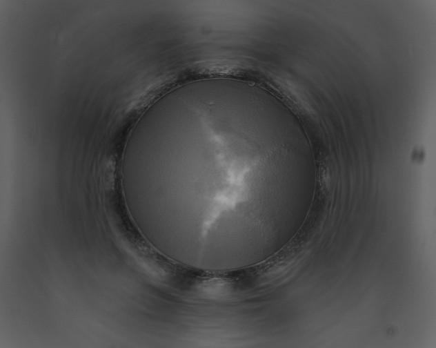 X0000093250551200710171428