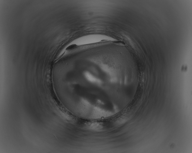 X0000093250553200710171428