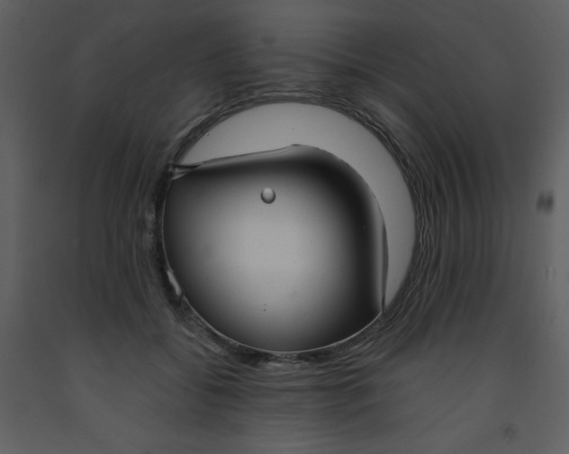 X0000093250556200710171428