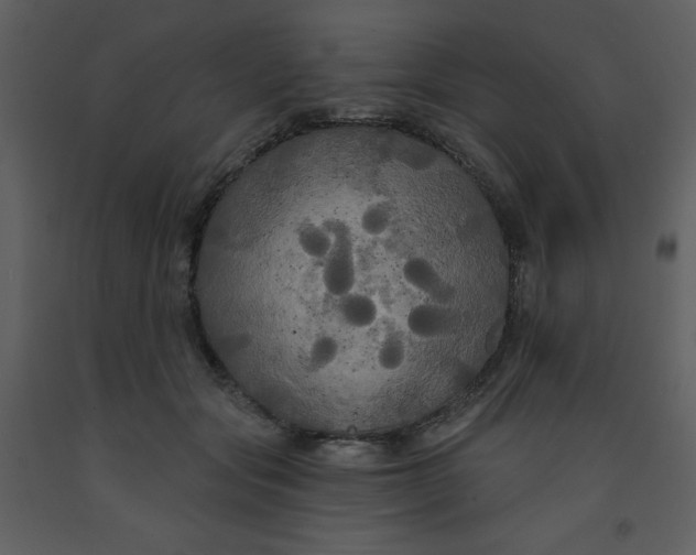 X0000093250557200710171428