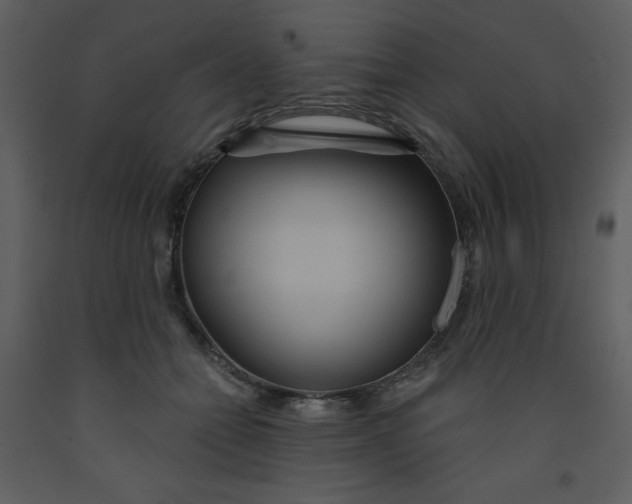 X0000093250558200710171428