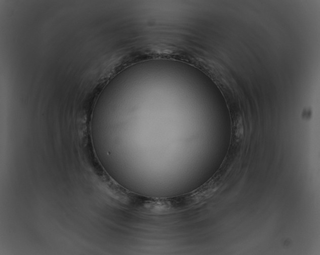 X0000093250559200710171428