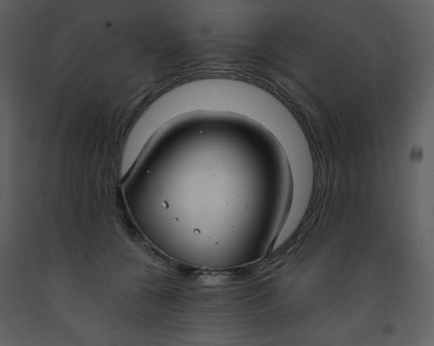 X0000093250560200710171428