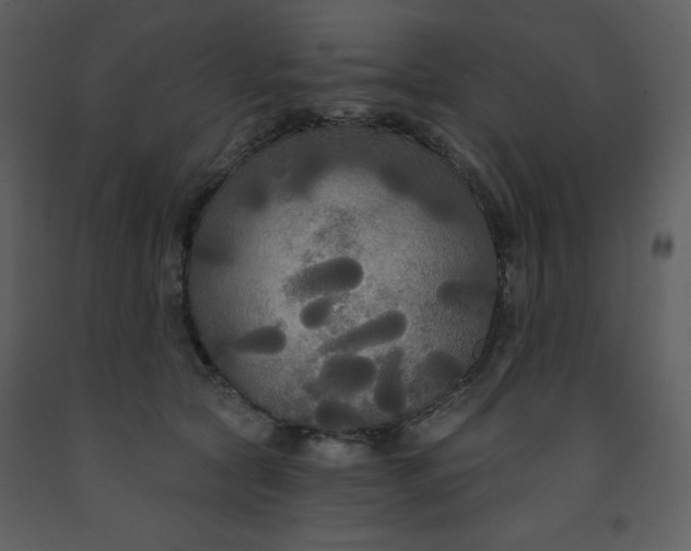 X0000093250561200710171428