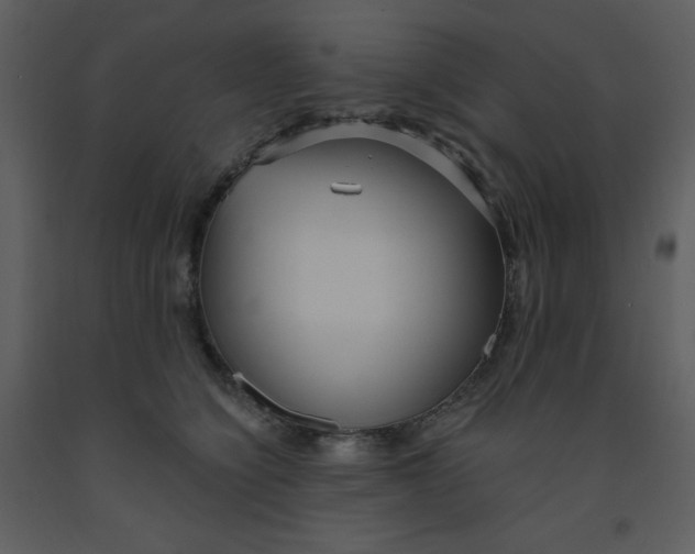 X0000093250564200710171428