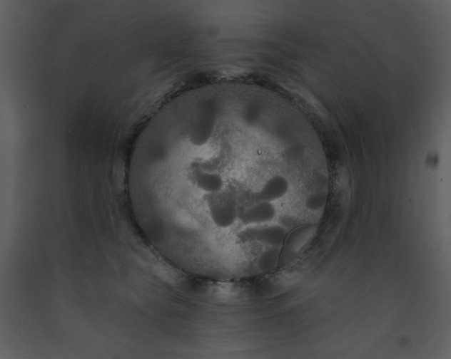 X0000093250565200710171428