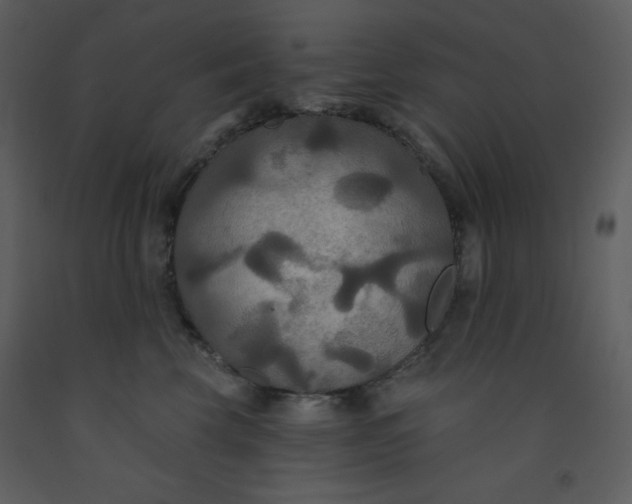 X0000093250569200710171428