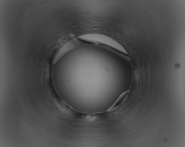 X0000093250570200710171428