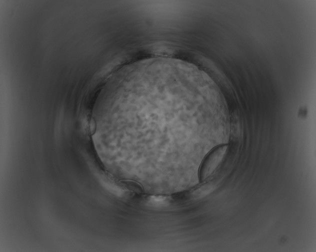 X0000093250573200710171428