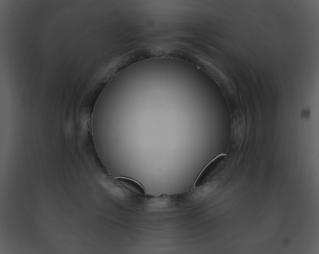 X0000093250574200710171428