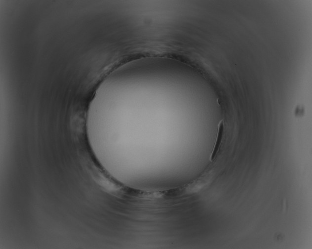 X0000093250576200710171428